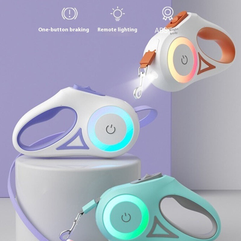 LED Night Safety Leash & Collar Set 🐶