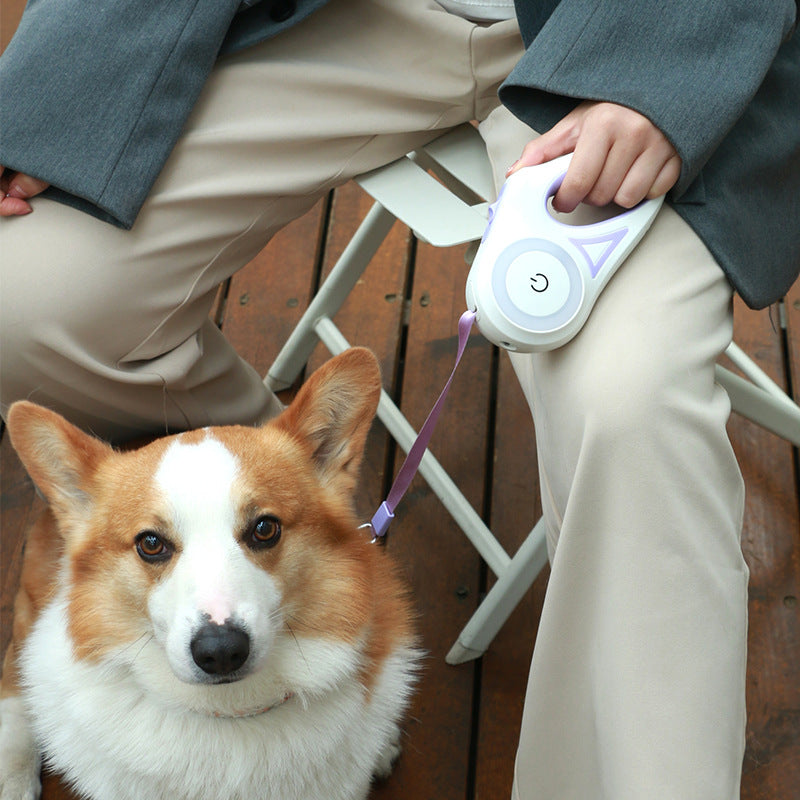 LED Night Safety Leash & Collar Set 🐶