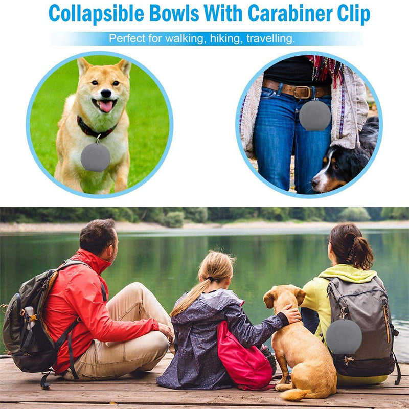 Foldable Double Pet Travel Bowl