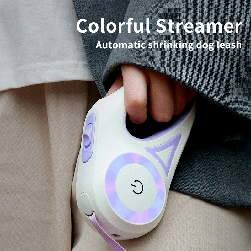 LED Night Safety Leash & Collar Set 🐶