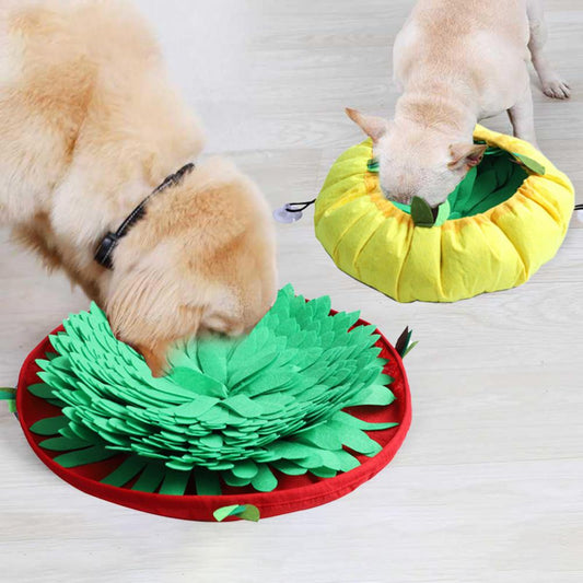 Interactive Snuffle Training Mat 🐶