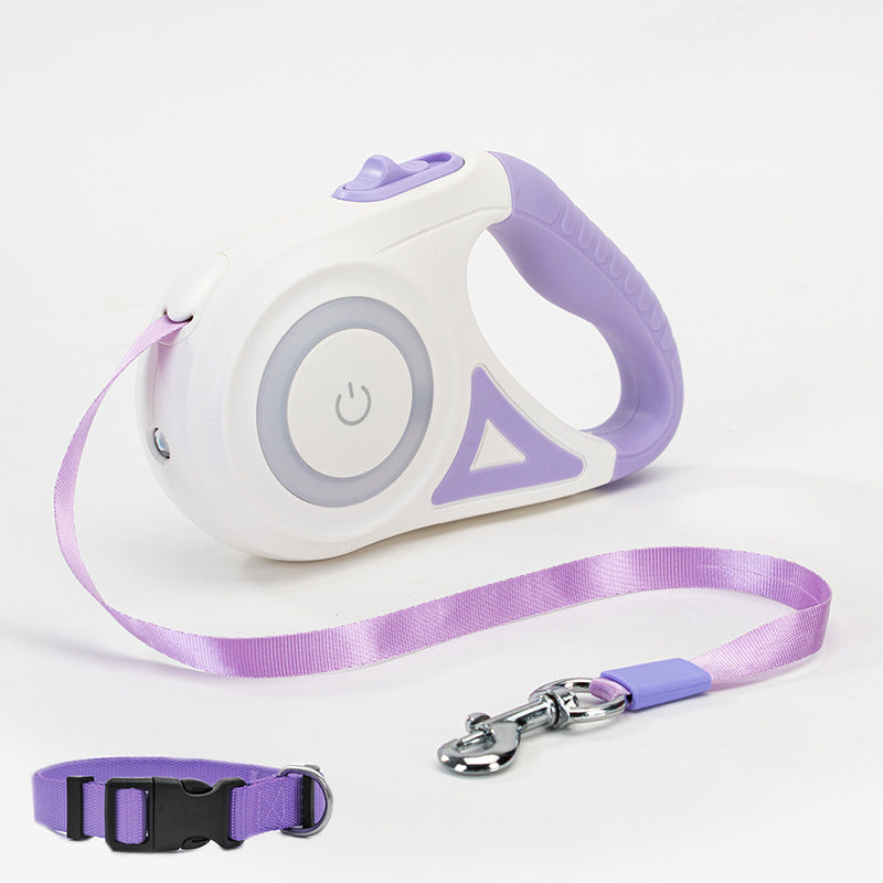 LED Night Safety Leash & Collar Set 🐶