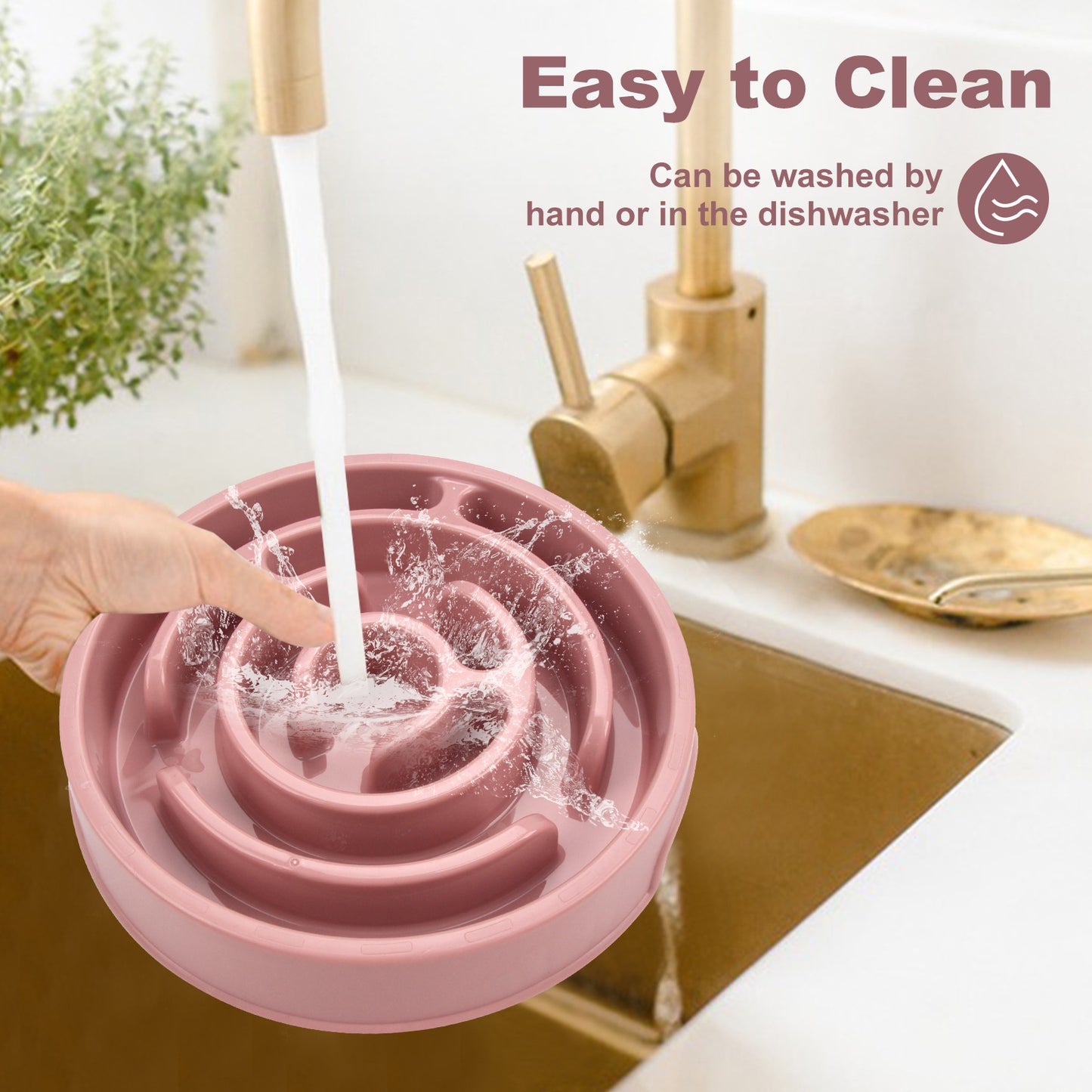 Slow Feeding Pet Bowl
