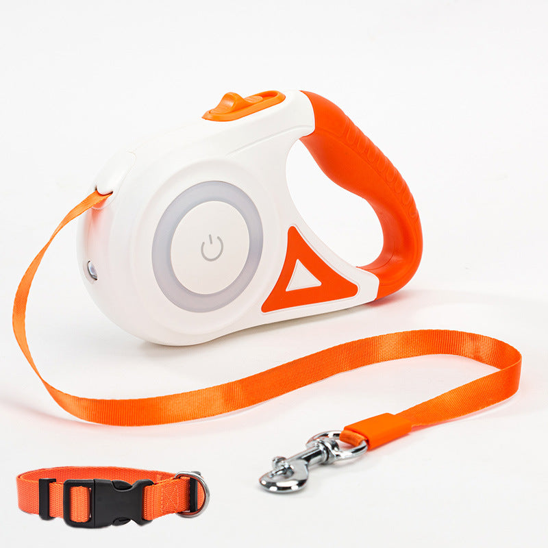 LED Night Safety Leash & Collar Set 🐶